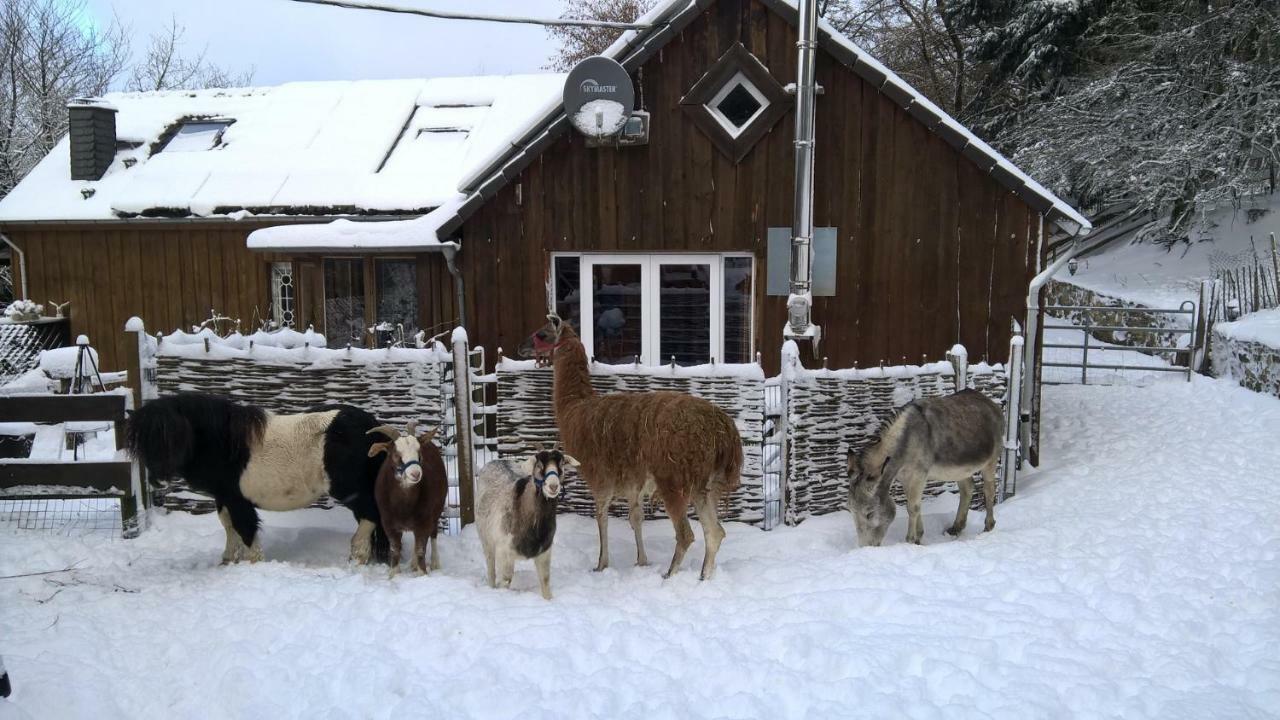Funny-Farm Villa Sassen Exteriör bild