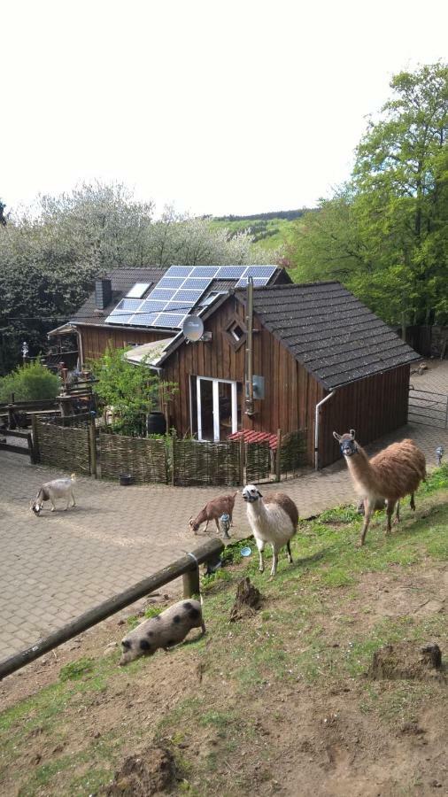 Funny-Farm Villa Sassen Exteriör bild